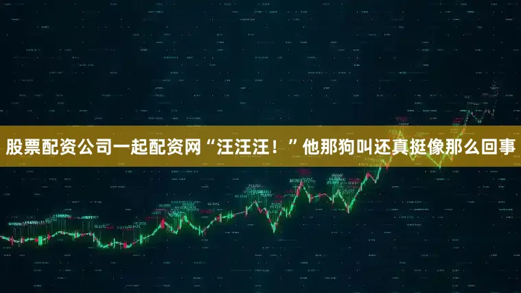 股票配资公司一起配资网“汪汪汪！”他那狗叫还真挺像那么回事
